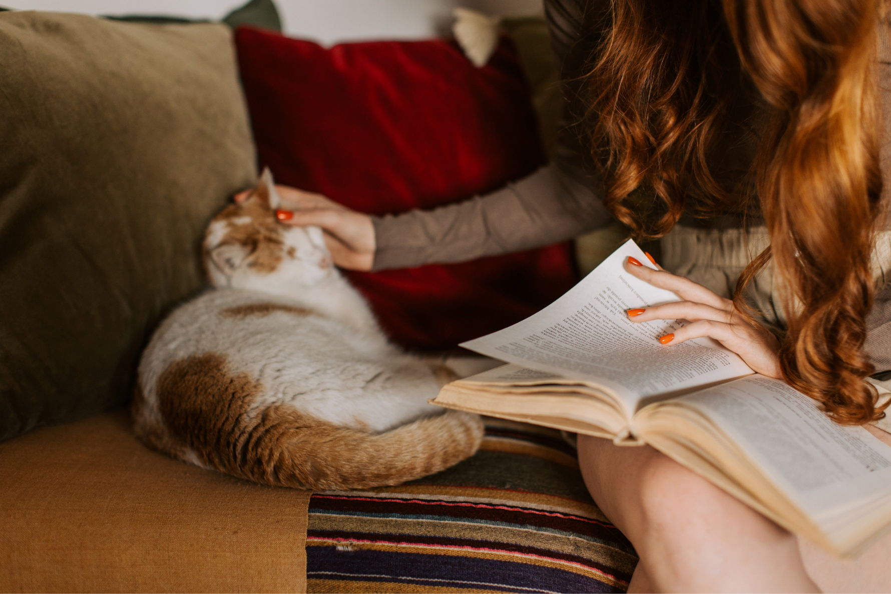 9 Tell-Tail Signs You Are a Cat Lady