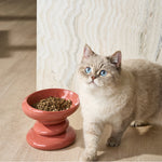 Salmon_Bliss_1