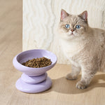 Catnip_Flower_1