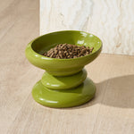 Cat_Grass_2