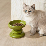 Cat_Grass_1