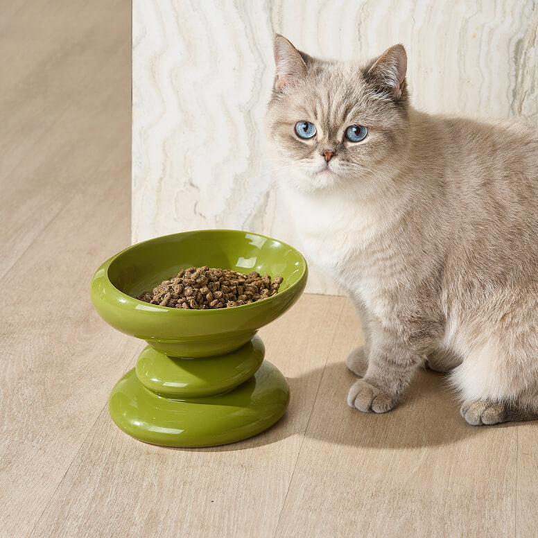 Cat_Grass_1