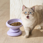 Catnip_Flower_4