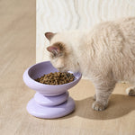 Catnip_Flower_3