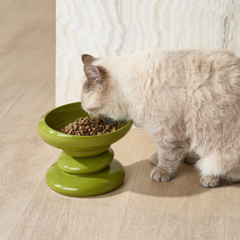 Cat_Grass_3