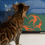 Peeping_Tomcat_4